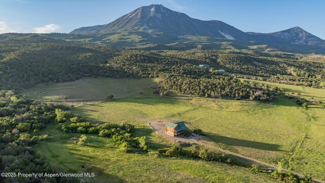 13010 Dry Gulch Rd, Paonia, CO 81428 - photo 37
