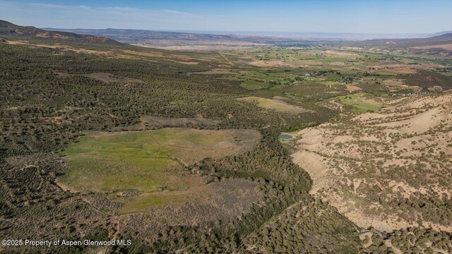 13010 Dry Gulch Rd, Paonia, CO 81428 - photo 41