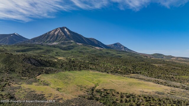 13010 Dry Gulch Rd, Paonia, CO 81428 - photo 42