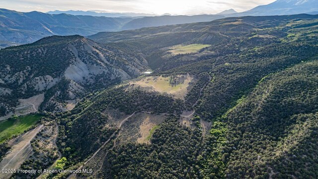 13010 Dry Gulch Rd, Paonia, CO 81428 - photo 43