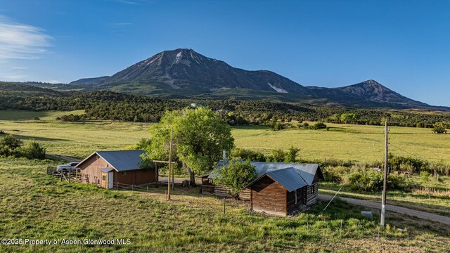 13010 Dry Gulch Rd, Paonia, CO 81428 - photo 44