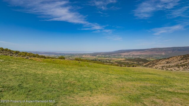 13010 Dry Gulch Rd, Paonia, CO 81428 - photo 40