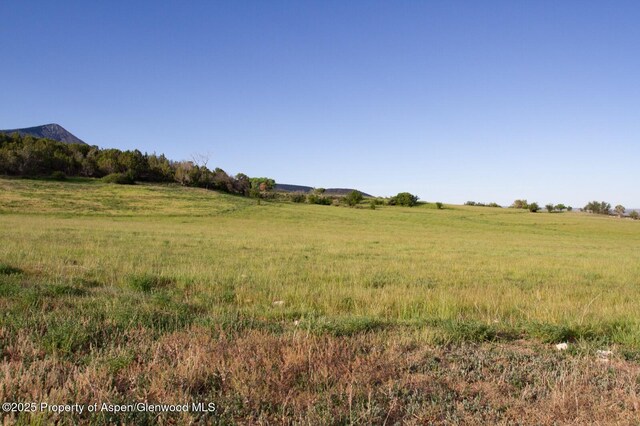 13010 Dry Gulch Rd, Paonia, CO 81428 - photo 34