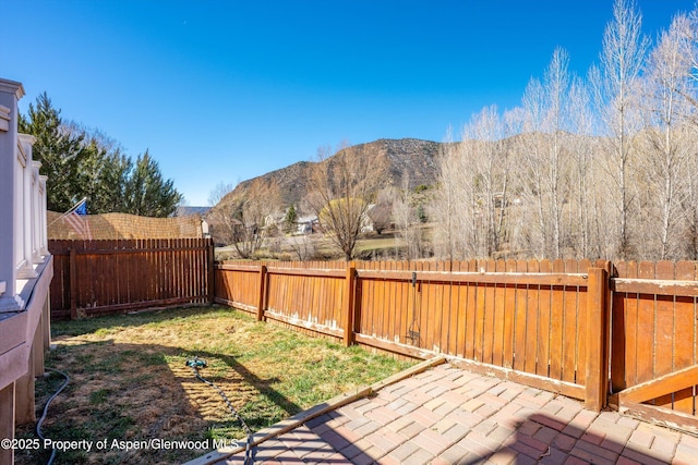 721 Pine Ct, New Castle, CO 81647 - exterior space featuring a fenced backyard, a mountain view, and a patio