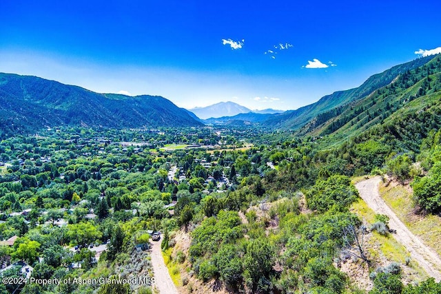 921 W 9th St, Glenwood Springs, CO 81601 - mountain view