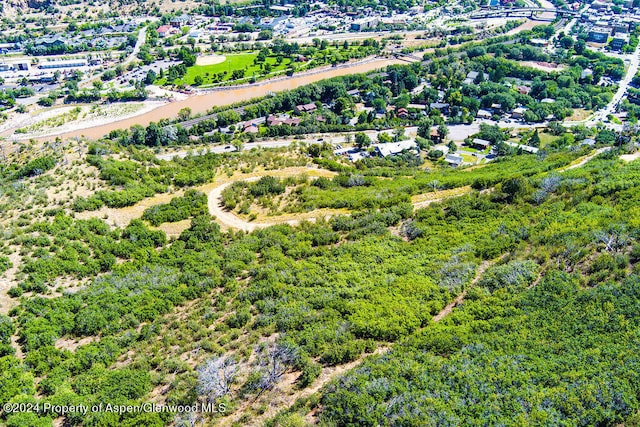 921 W 9th St, Glenwood Springs, CO 81601 - birds eye view of property