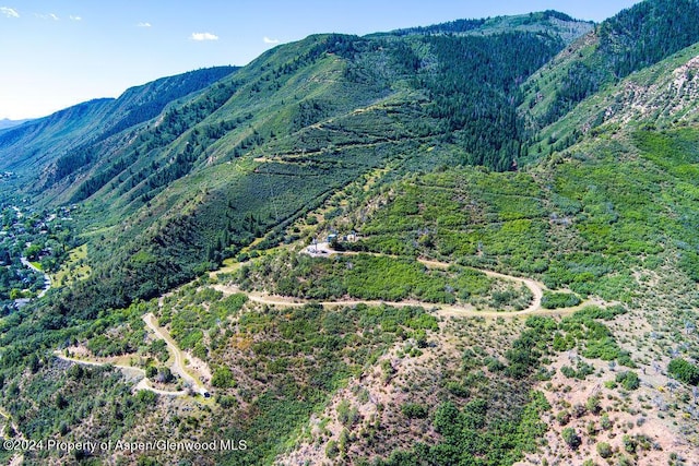 921 W 9th St, Glenwood Springs, CO 81601 - property view of mountains