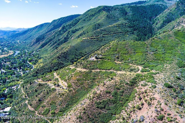 921 W 9th St, Glenwood Springs, CO 81601 - view of mountain feature