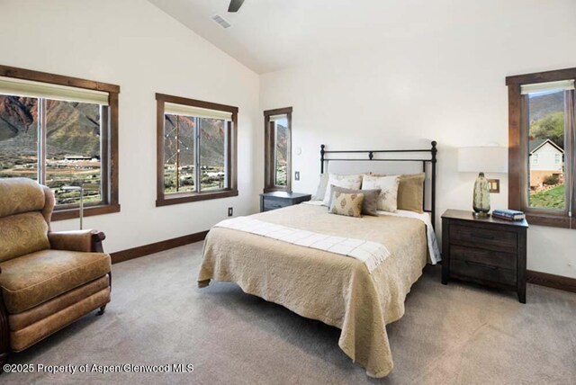 350 Greenway Dr, Glenwood Springs, CO 81601 - photo 20