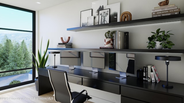 office space with floor to ceiling windows and light hardwood / wood-style flooring