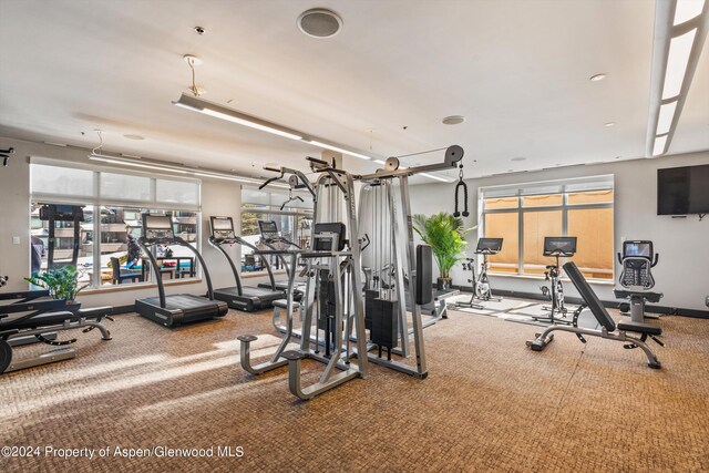 gym featuring carpet flooring