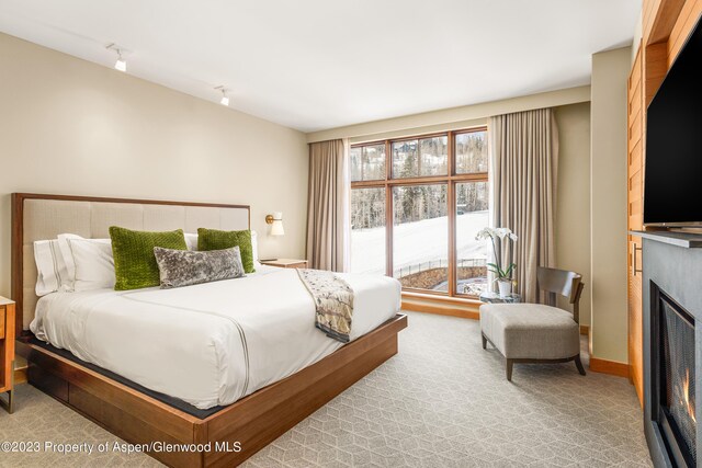 bedroom featuring light carpet and access to outside