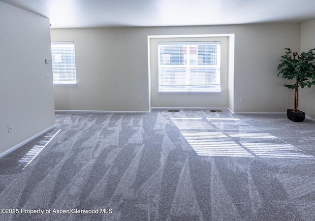 2449 Pine Ln, Rifle, CO 81650 - empty room with carpet and baseboards