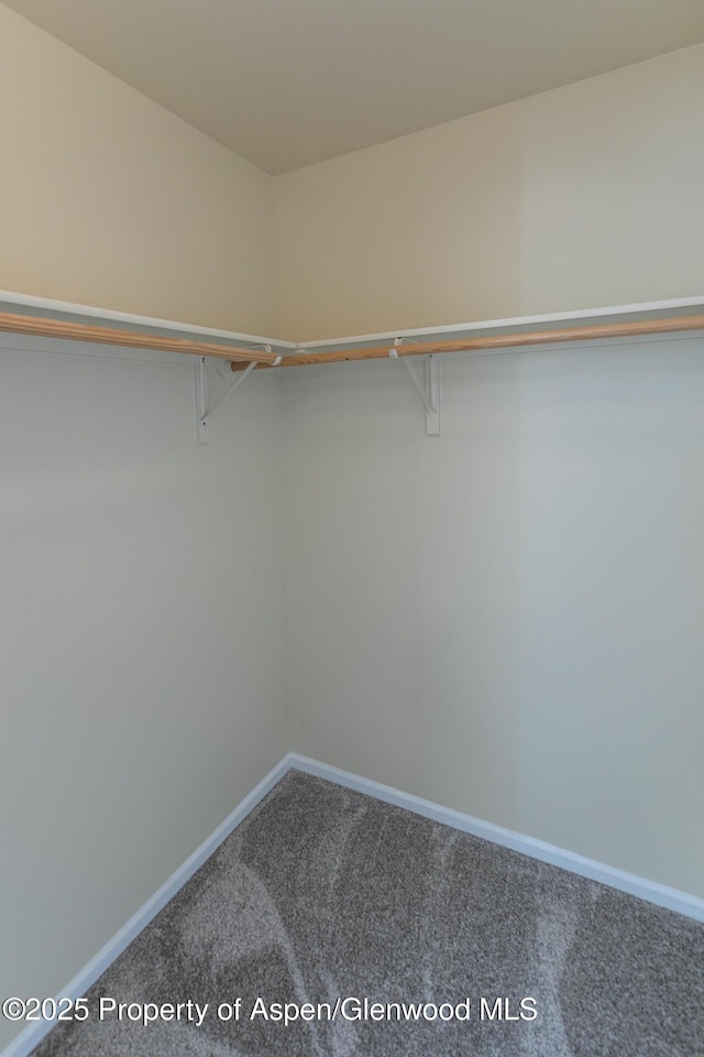 2449 Pine Ln, Rifle, CO 81650 - walk in closet with carpet