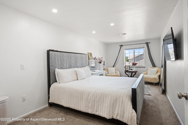 1217 Domelby Ct, Silt, CO 81652 - photo 9