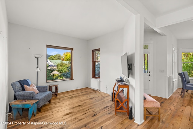 living area with light wood-type flooring and radiator