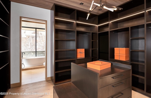 spacious closet featuring light wood-style floors