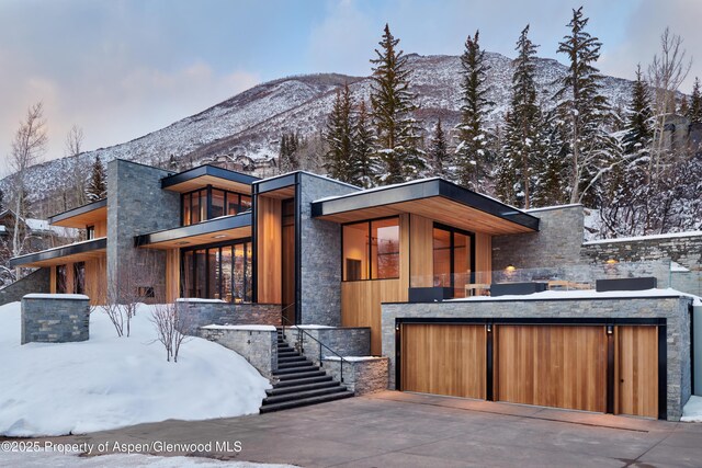395 E Reds Rd, Aspen, CO 81611 - photo 15
