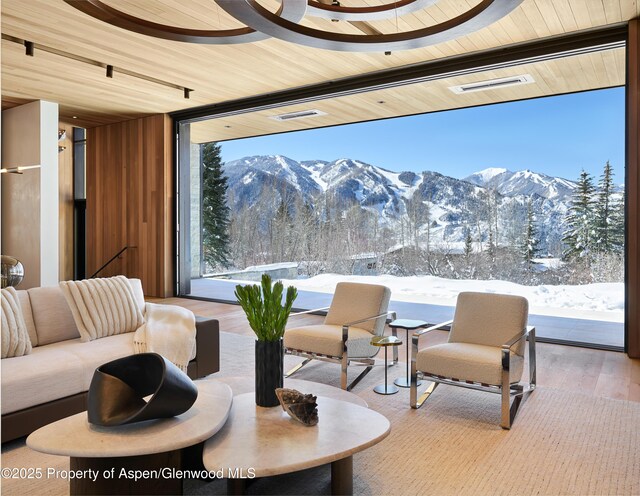 395 E Reds Rd, Aspen, CO 81611 - photo 6