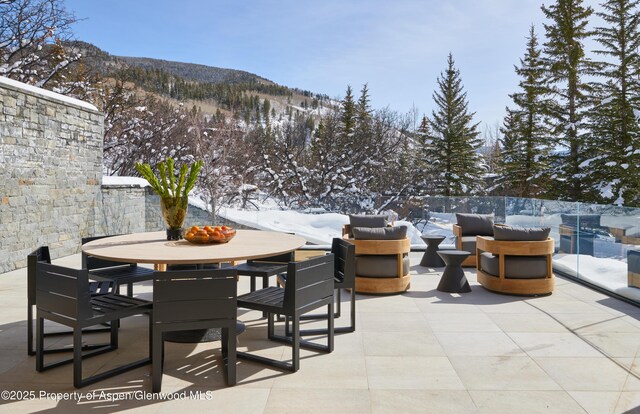 395 E Reds Rd, Aspen, CO 81611 - photo 14