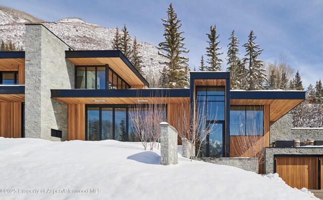 395 E Reds Rd, Aspen, CO 81611 - photo 17