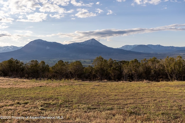 34797 Powell Mesa Rd, Hotchkiss, CO 81419 - photo 10