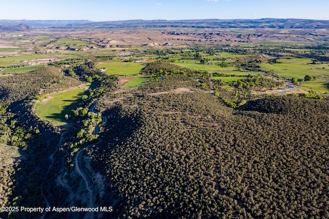 34797 Powell Mesa Rd, Hotchkiss, CO 81419 - photo 16