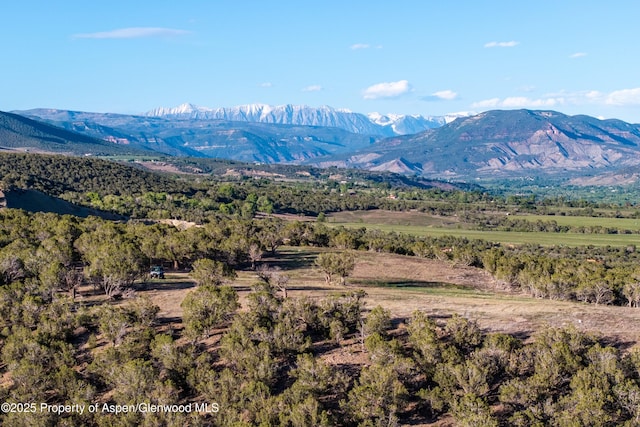 34797 Powell Mesa Rd, Hotchkiss, CO 81419 - photo 8
