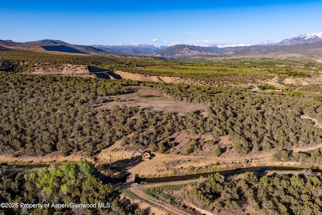 34797 Powell Mesa Rd, Hotchkiss, CO 81419 - photo 20