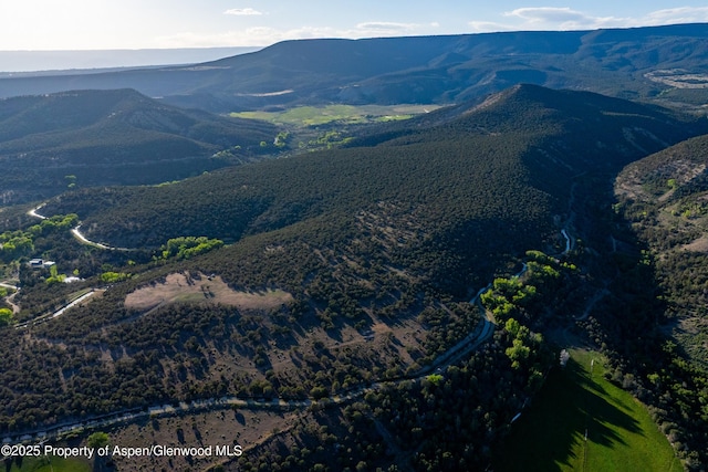 34797 Powell Mesa Rd, Hotchkiss, CO 81419 - photo 4