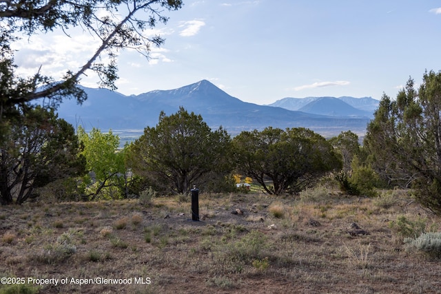 34797 Powell Mesa Rd, Hotchkiss, CO 81419 - photo 12