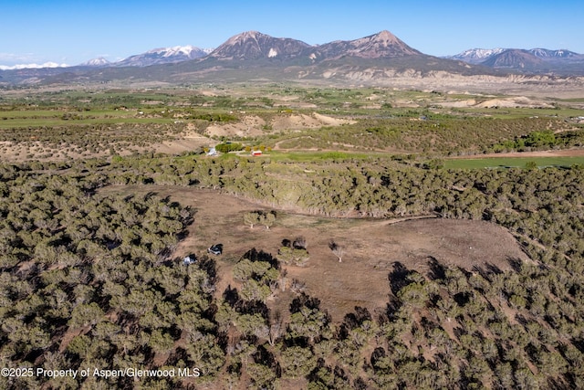 34797 Powell Mesa Rd, Hotchkiss, CO 81419 - photo 7