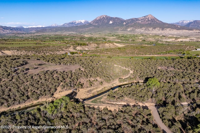 34797 Powell Mesa Rd, Hotchkiss, CO 81419 - photo 22