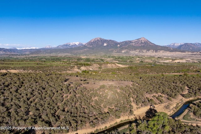 34797 Powell Mesa Rd, Hotchkiss, CO 81419 - photo 19
