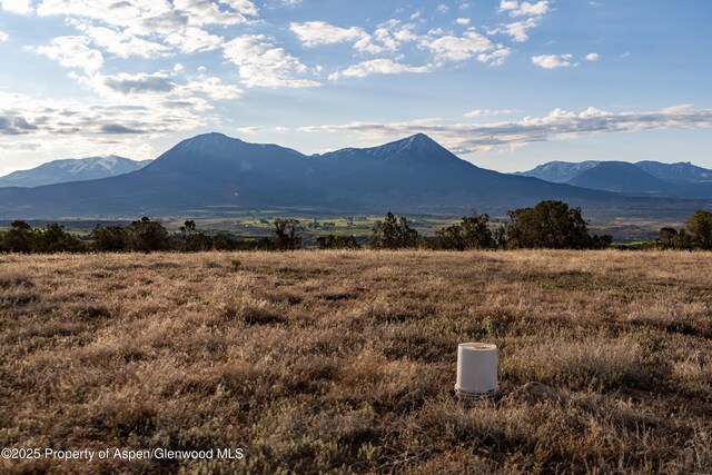 34797 Powell Mesa Rd, Hotchkiss, CO 81419 - photo 11