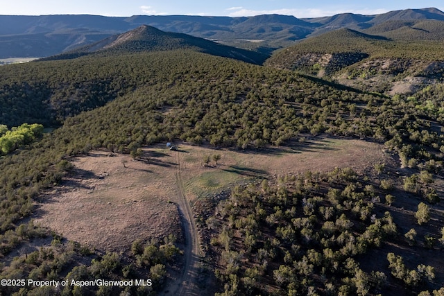 34797 Powell Mesa Rd, Hotchkiss, CO 81419 - photo 6