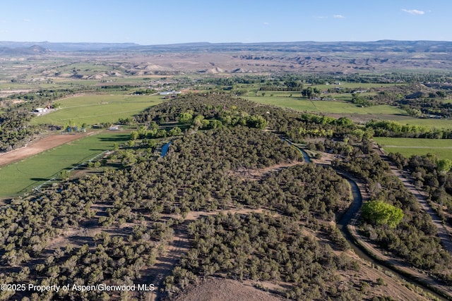 34797 Powell Mesa Rd, Hotchkiss, CO 81419 - photo 15