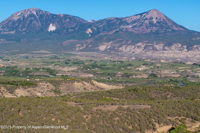 34797 Powell Mesa Rd, Hotchkiss, CO 81419 - photo 18