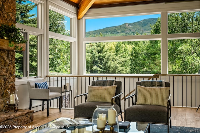 23 St Andrews Ct Unit 79, Snowmass Village, CO 81615 - photo 30
