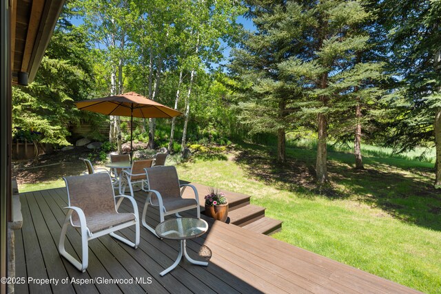 23 St Andrews Ct Unit 79, Snowmass Village, CO 81615 - photo 17