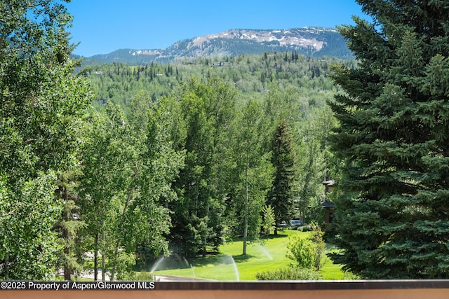 23 St Andrews Ct Unit 79, Snowmass Village, CO 81615 - photo 13