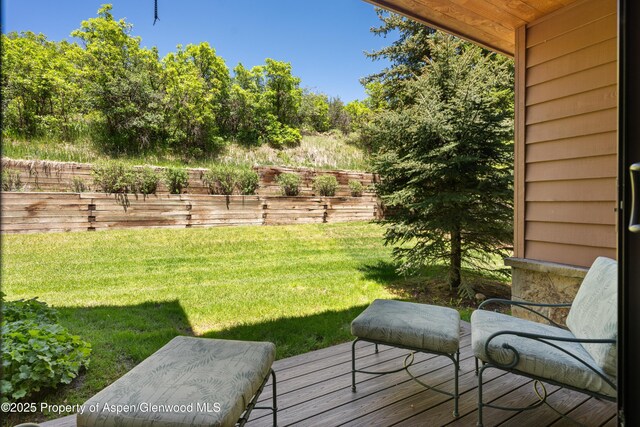 23 St Andrews Ct Unit 79, Snowmass Village, CO 81615 - photo 20