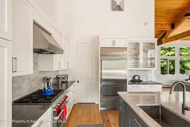 23 St Andrews Ct Unit 79, Snowmass Village, CO 81615 - photo 10
