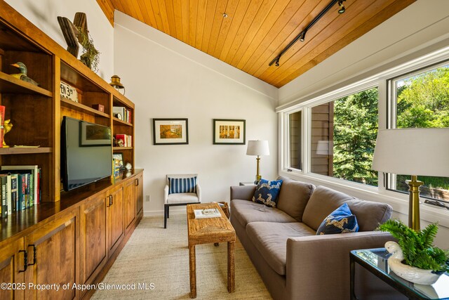 23 St Andrews Ct Unit 79, Snowmass Village, CO 81615 - photo 14