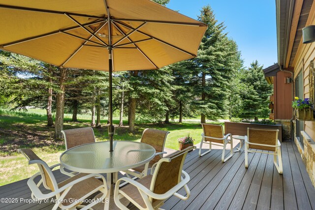23 St Andrews Ct Unit 79, Snowmass Village, CO 81615 - photo 29