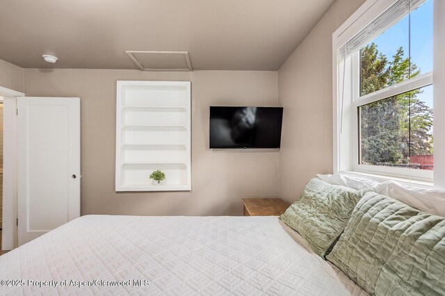 1114 Blake Ave, Glenwood Springs, CO 81601 - bedroom featuring attic access