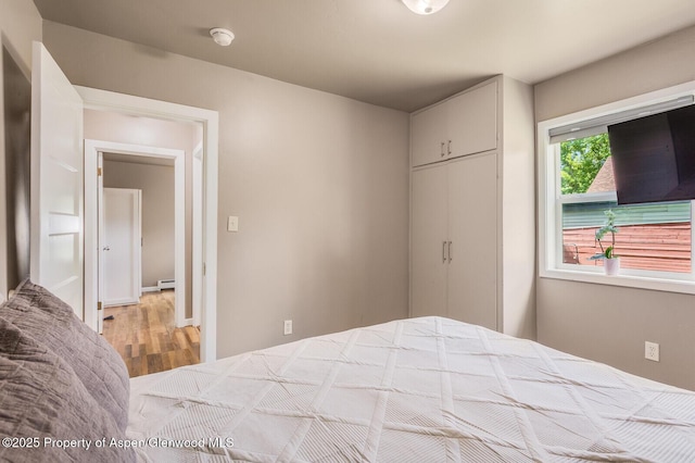 1114 Blake Ave, Glenwood Springs, CO 81601 - bedroom with wood finished floors, a closet, and a baseboard heating unit