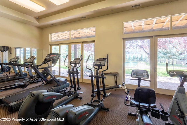 123 Corral Dr, Carbondale, CO 81623 - workout area with visible vents and carpet