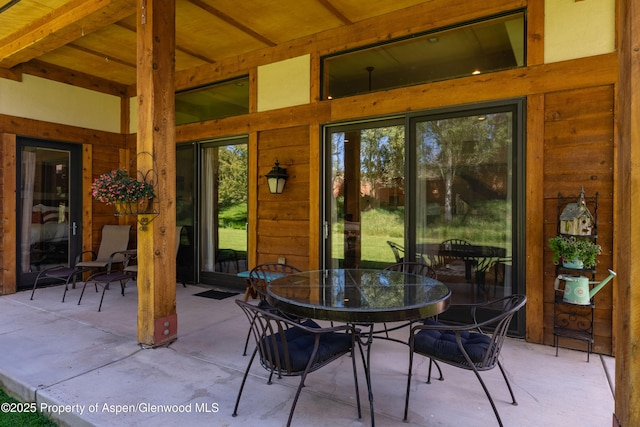 123 Corral Dr, Carbondale, CO 81623 - view of patio