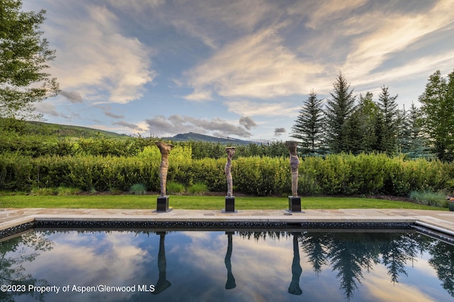 view of pool with a lawn